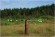 Высоторез аккумуляторный Greenworks G40PHA без АКБ и ЗУ, 40 В, без АКБ и ЗУ