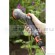 Многофункциональный пистолет-распылитель для полива Gardena 18321-20.000.00