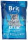 Корм для котят Brit Premium, с курицей, с лососем 800 г