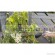 Комплект садовых инструментов "Домашнее садоводство" секатор, лопатка, многофункциональный кувшин с заостренным краем Gardena Промо 08966-32.000.00